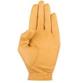 Golf Gloves